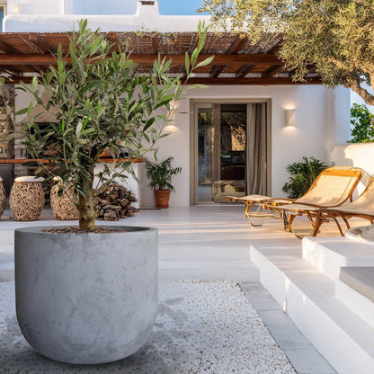 Voluto Japi Planter - (Extra Large)