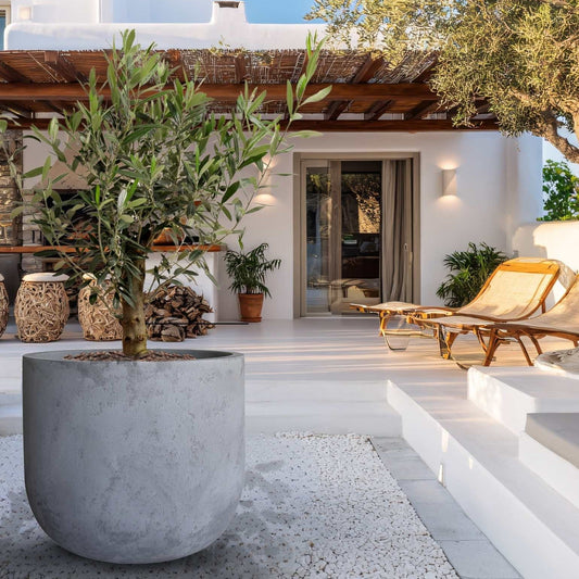 Voluto Japi Planter - (Extra Large)