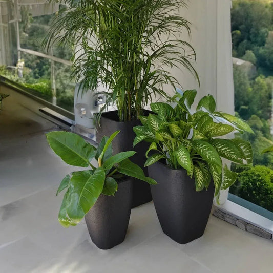 Innovare Maggiore Japi Planter