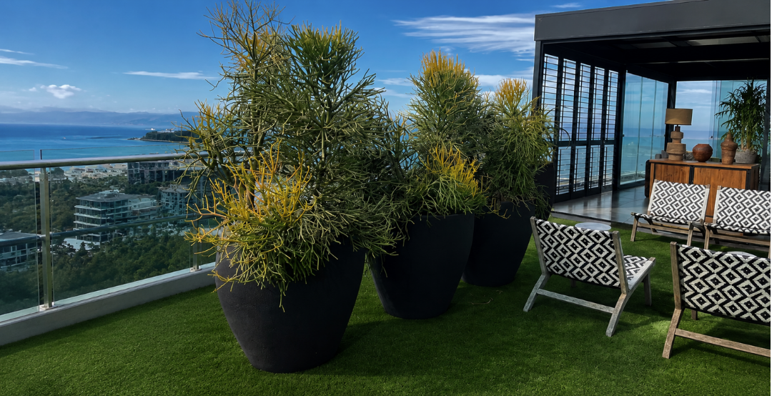 Outdoor seating area with potted plants and chairs overlooking a coastal view. Japi Rustic Ellipse Lead Planters.