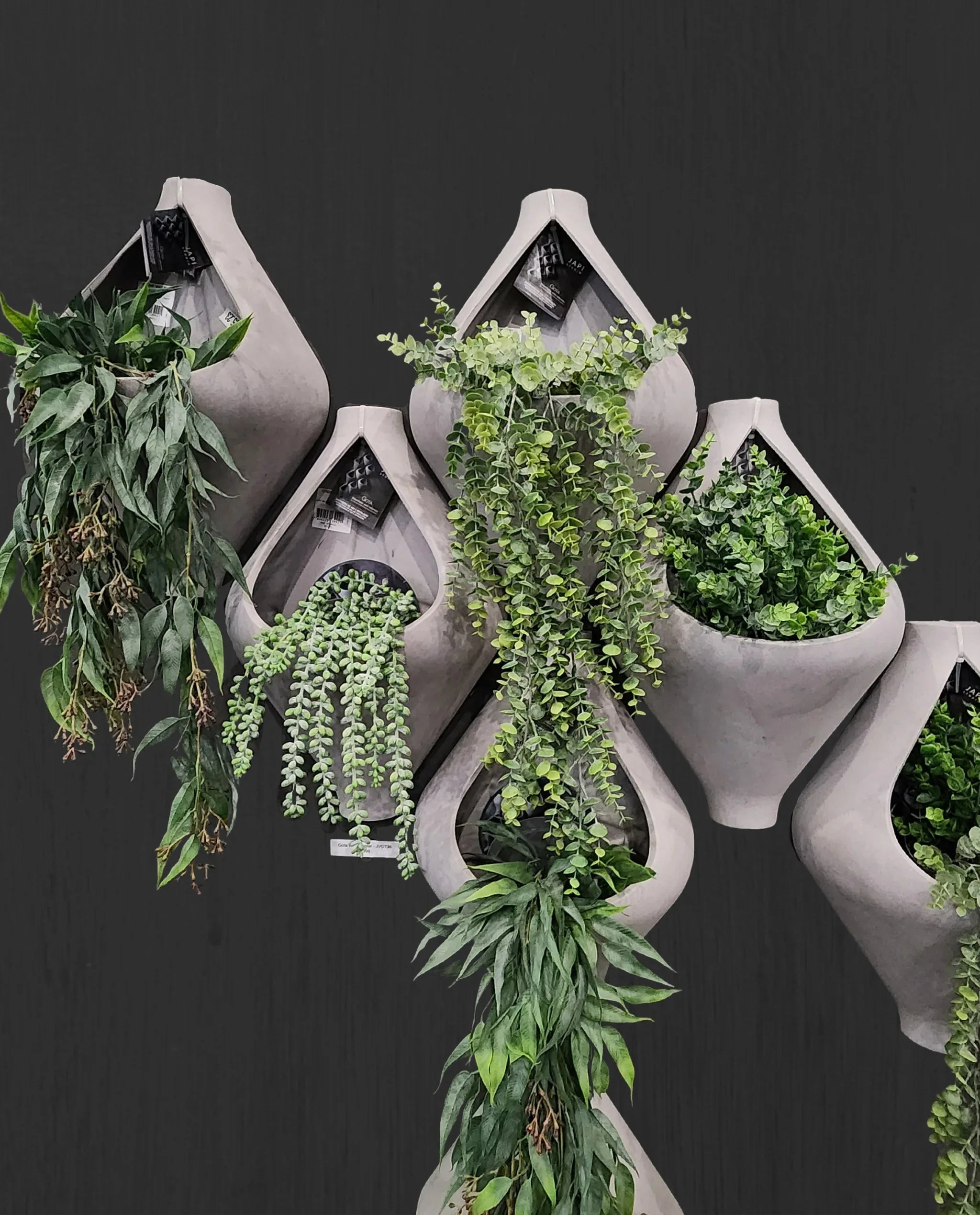 Gota Japi Studio Wall Planter – Florastyle By Hingham