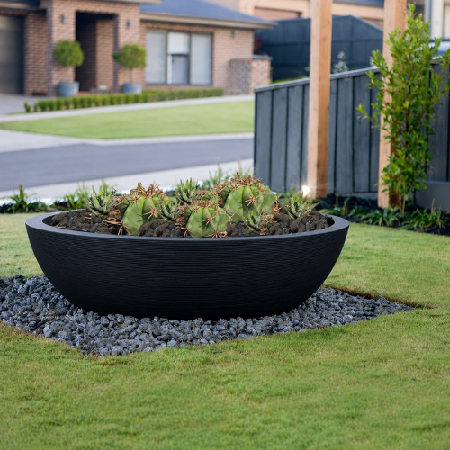 A Linea Low Japi Bowl by Florastyle By Hingham, filled with small round cacti, sits on a gravel bed amid a neatly mowed lawn in a suburban front yard with houses in the background.