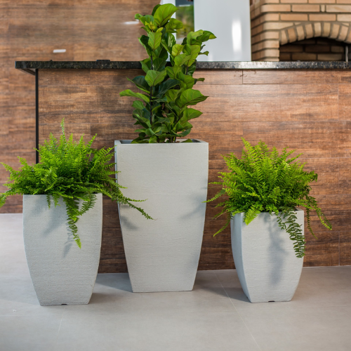 Three Florastyle By Hingham Modern Square Japi Planters in light gray display two lush ferns and a tall leafy plant, arranged in front of a brown wooden wall and black countertop for a sleek contemporary indoor look.