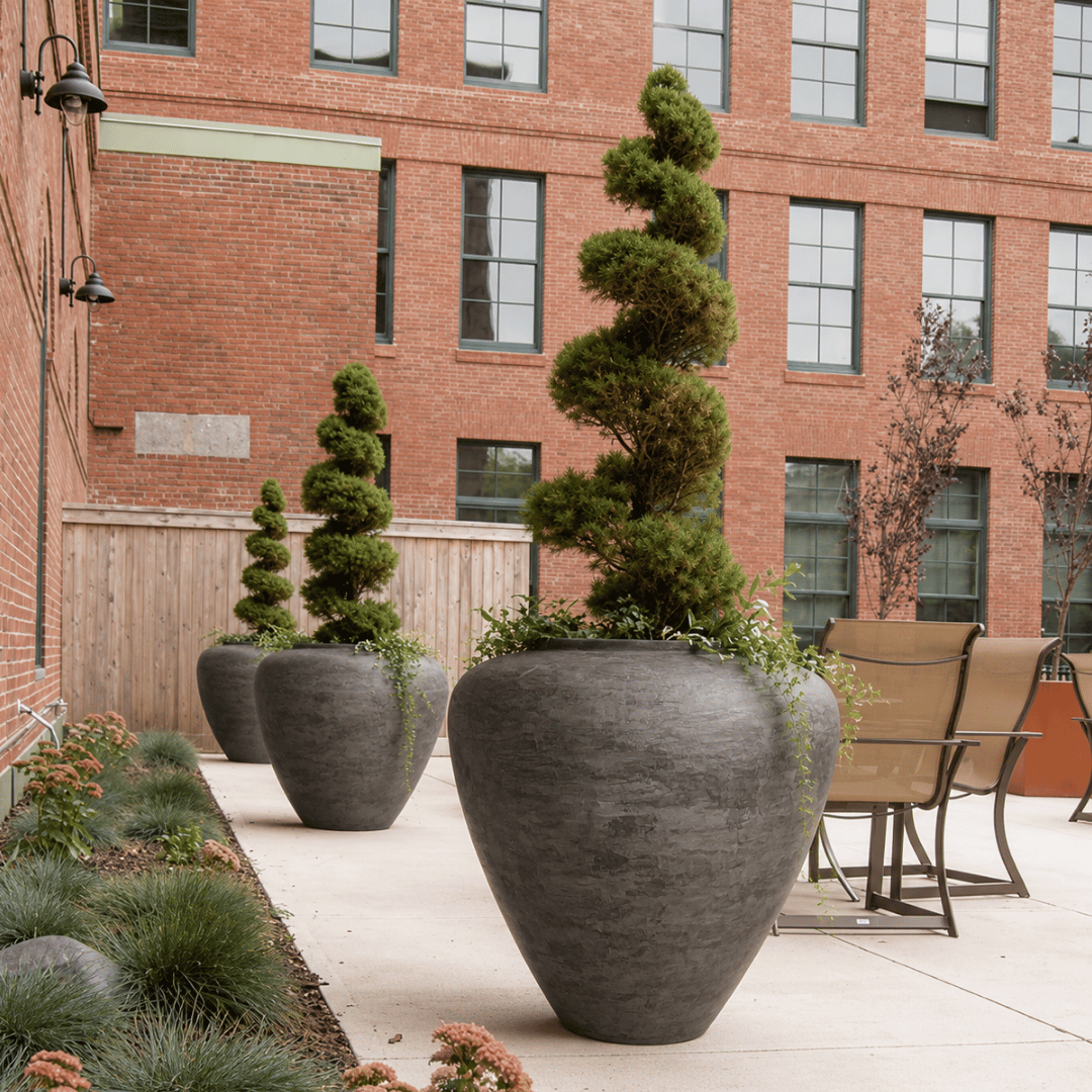 Florastyle By Hingham’s Mykonos Organic Fiberglass Pots - Earth Range, planted with spiral topiary trees, line a patio next to a brick building with windows. The area also features patio chairs, tables, sculptural décor, and greenery along the walkway.