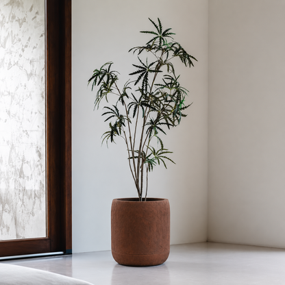 A tall potted plant with slender branches and narrow green leaves stands in a minimalist room with light walls and a large window, displayed in the elegant Oma Japi Planter by Florastyle By Hingham.
