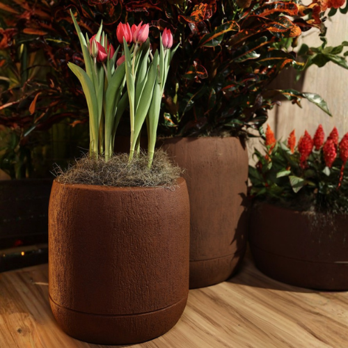A large brown Oma Japi Planter by Florastyle By Hingham with pink tulips sits on a wooden floor, surrounded by lightweight polyresin planters filled with green leafy plants and red flowers, creating a cozy indoor garden vibe.