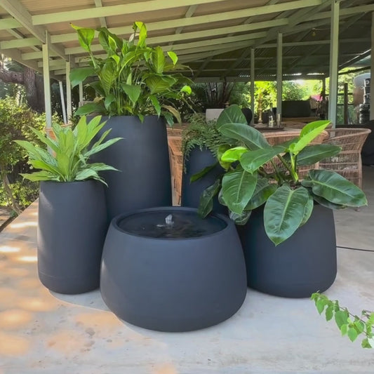 Full Bios Set with One Bios Low Water Feature