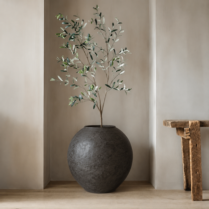 A small olive tree with green leaves sits in the Syracuse Organic Fiberglass Pot - Earth Range by Florastyle By Hingham on a wooden floor against a beige wall. A rustic wooden bench is partially visible on the right.