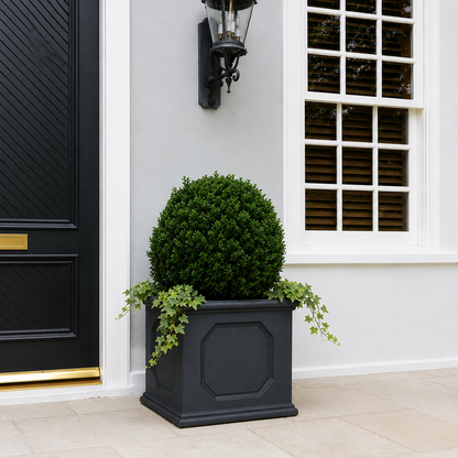A neatly trimmed round shrub with trailing ivy sits in a Florastyle By Hingham Classic Versailles Japi Cube planter by a black front door, next to a window with white trim and a wall-mounted lantern.