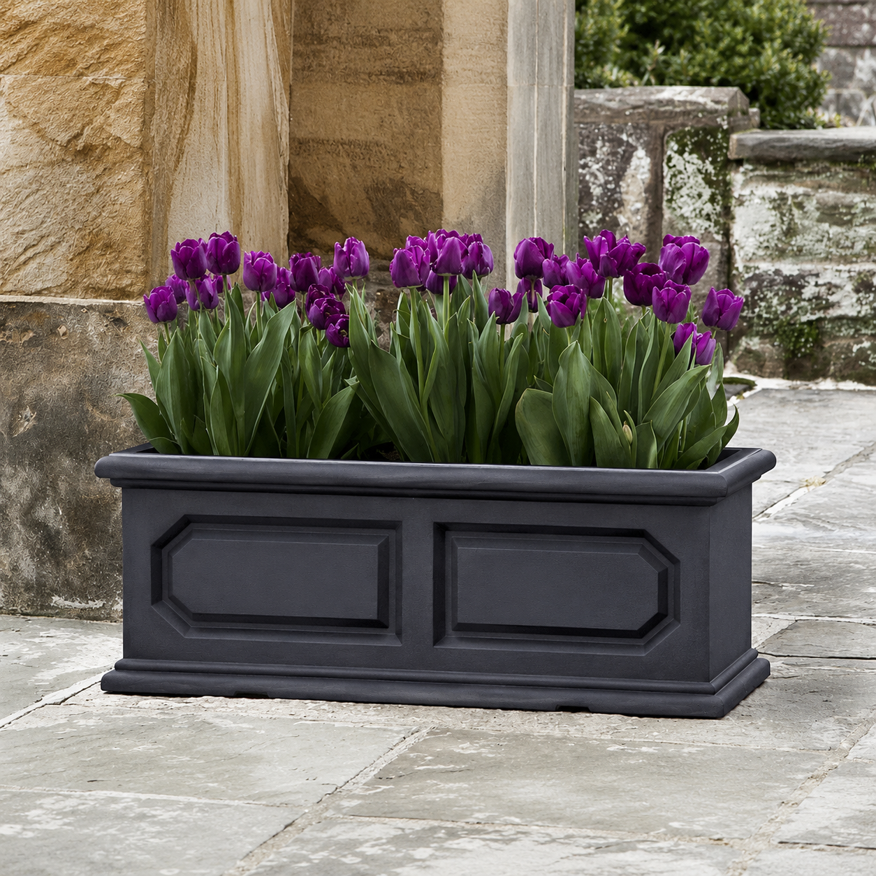 The Classic Versailles Japi Window Box by Florastyle By Hingham, in black, showcases blooming purple tulips and sits on a stone patio beside textured stone walls, providing a stylish indoor or outdoor planter option.