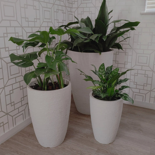 Statement Planters. Tall Upright. Display of 3 sizes with height variation. Perfect in a group of 3 or stand alone. Available colours Off White and Sandstone