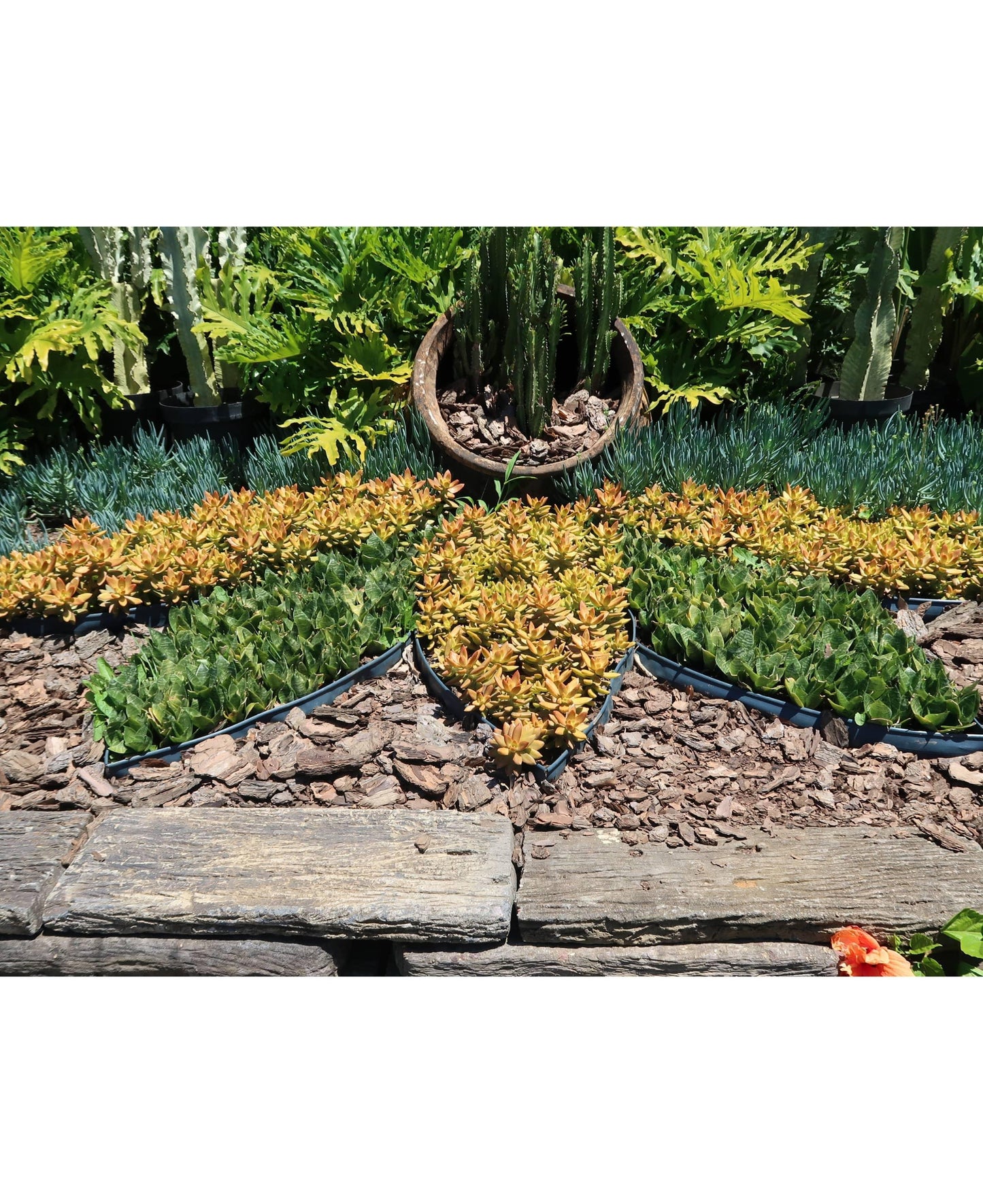 Japi Landscape Edging With Edge - 20 Meters