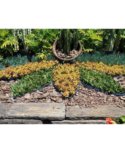 Japi Landscape Edging With Edge - 20 Meters