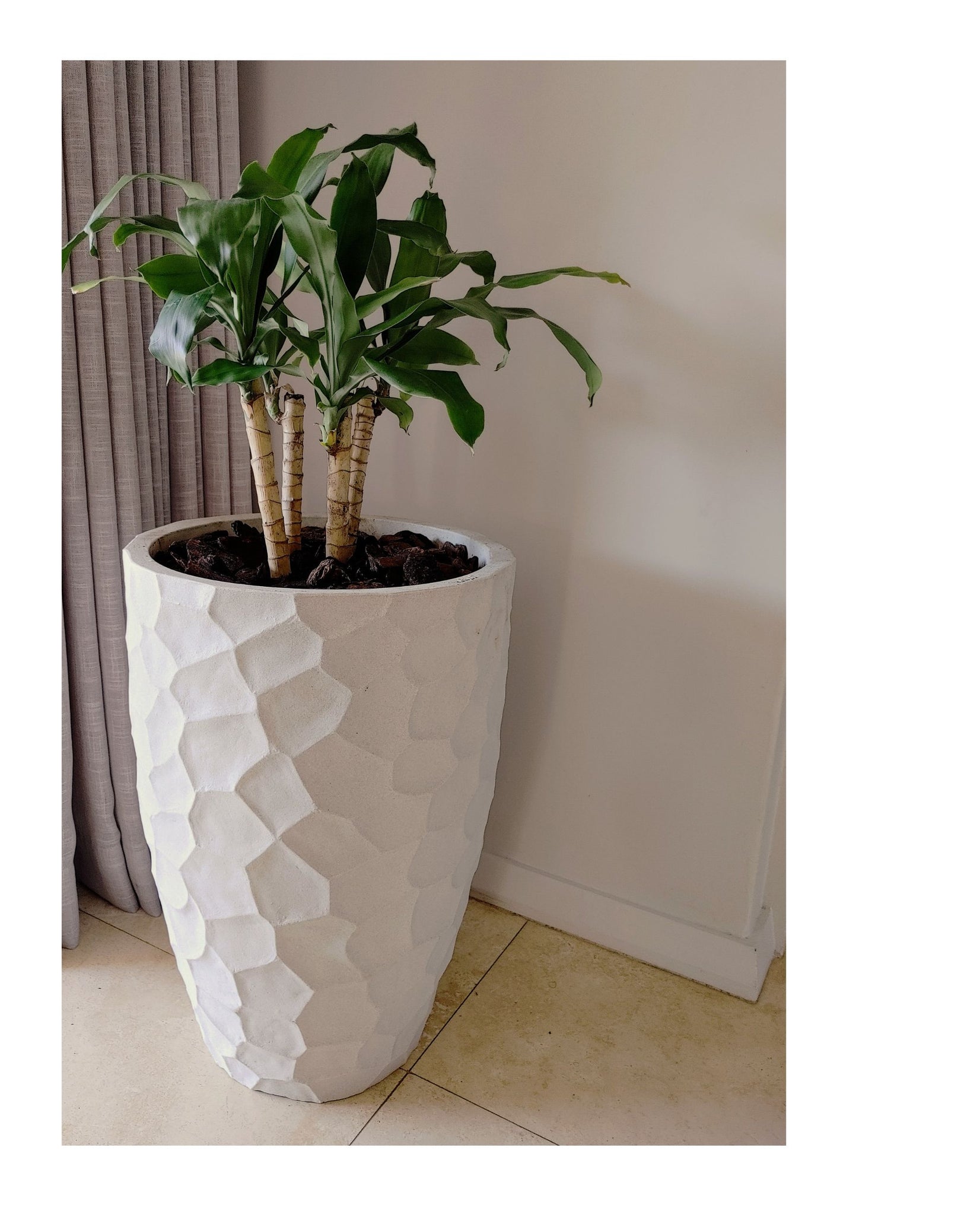 A  lifestyle picture of an off-white pot with a plant in a home .