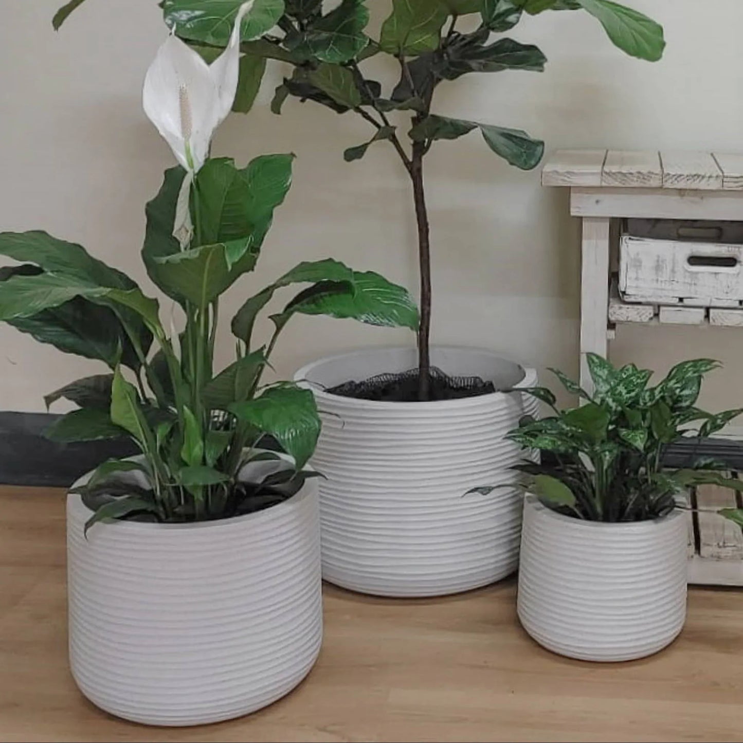 Lagoon Round Japi Planter