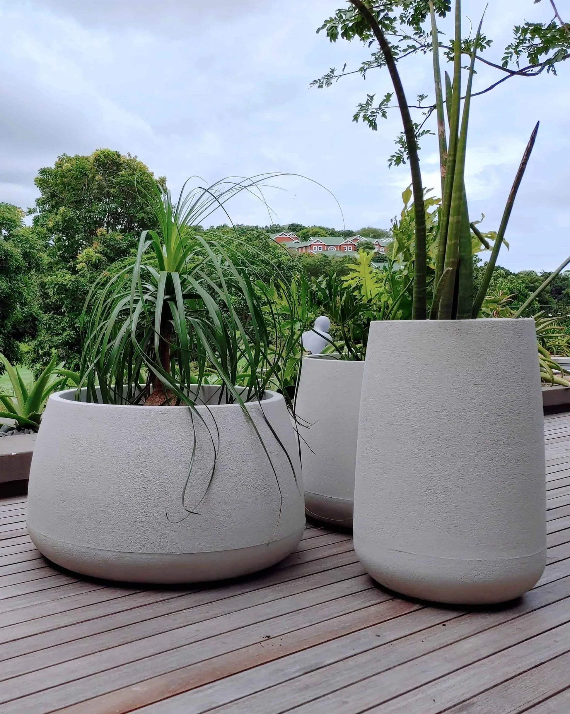 Set of 3 Bios planters, low, medium and tall, all with plants planted in them on the deck in a beautiful  home setting. Colour Sandstone. Orders at Florastyle by Hingham. Textured finish.