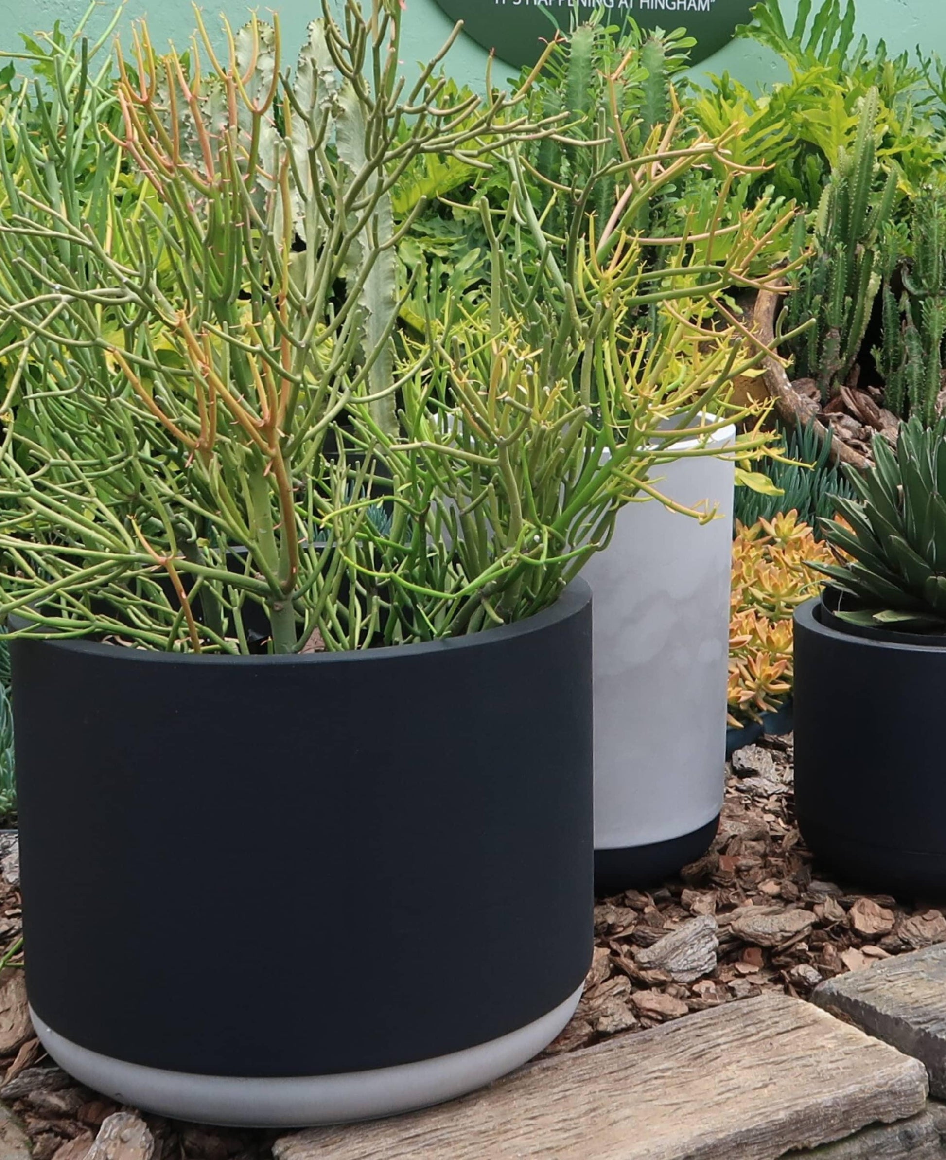 A black cylindrical garden planter with a off white saucer, displayed outdoors with plants growing out of it.