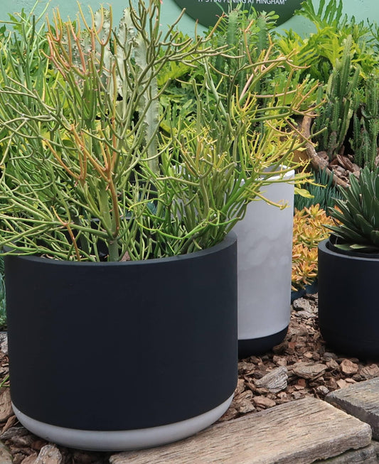 A black cylindrical garden planter with a off white saucer, displayed outdoors with plants growing out of it.