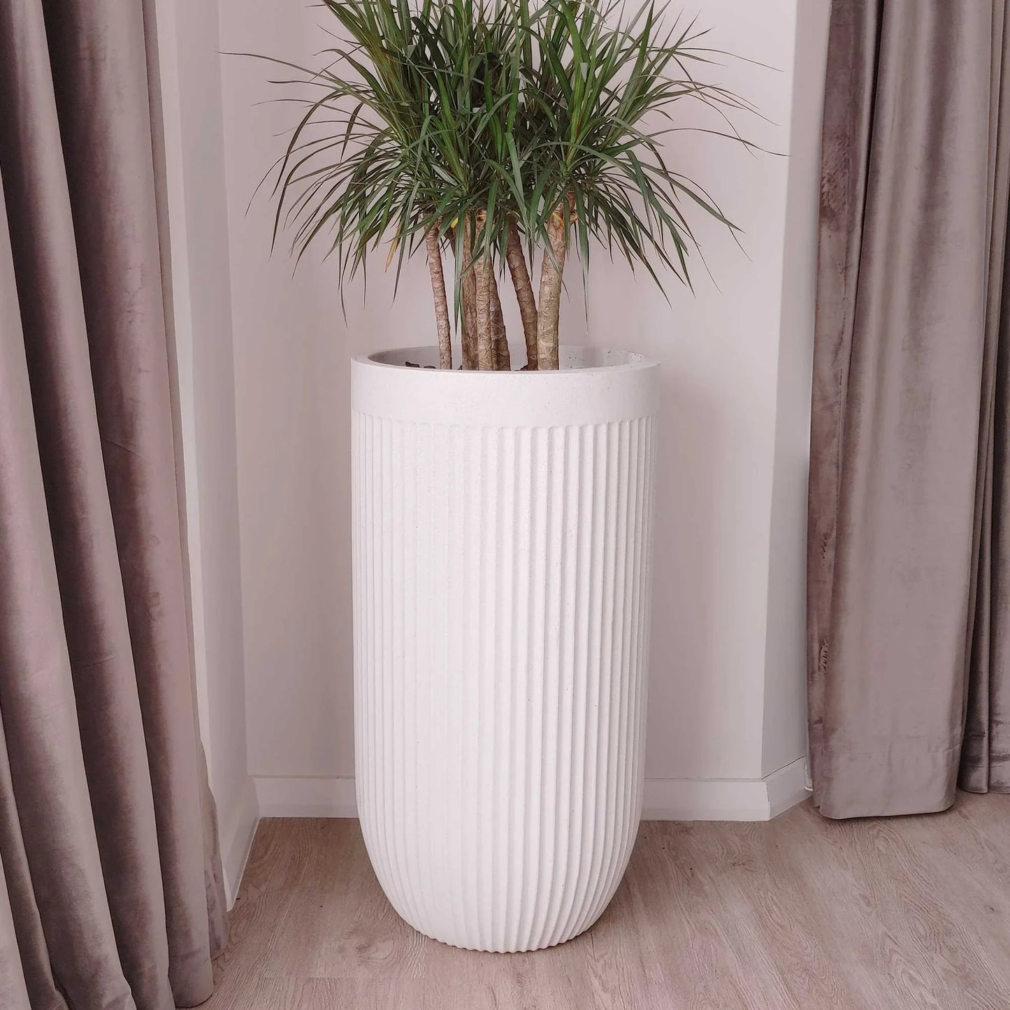 A tall, white, fluted Japi plant pot with a green plant inside, placed against a room with curtains.